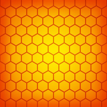 72 Best 亀甲柄 Images Stock Photos Vectors Adobe Stock