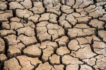  Dry and cracked soil
