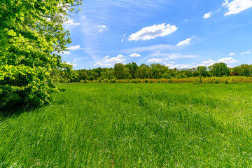 Landschaft in Sachsen, Frühling, Natur