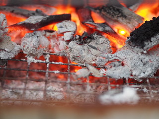 Flammable charcoal in red on Steel grating stove