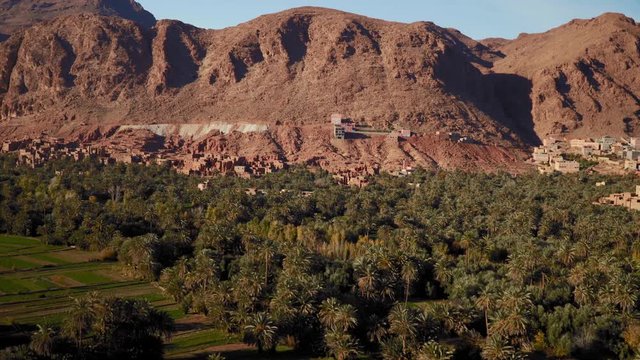 Panning shot of green palms in desert oasis near Gorges du Todra in Morocco