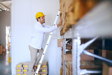 Smiling young Caucasian male blue collar worker climbing ladder and checking on goods in boxed in...