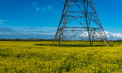 Close up of the bottom of a power pylon in the middle of a field of bright yellow rapeseed in the UK against a bright blue sky