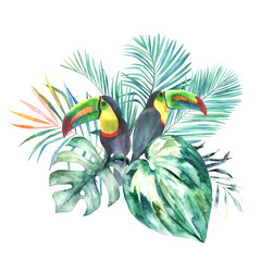 Watercolor summer print with toucans and tropical leaves. Isolated illustration on white background