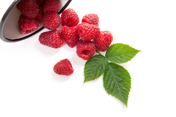 White cup with ripe raspberries and green leaf isolated on white background.