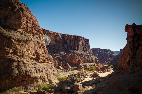 Panorama inside canyon aka Guelta d'Archei in East Ennedi, Chad