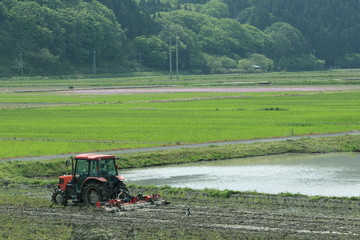 Fototapeta premium 田植え中のトラクターと田園風景