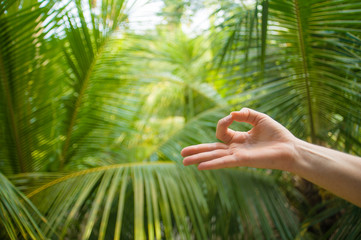 natural close up hand of woman doing yoga in mudra gyan fingers position isolated on beautiful tropical nature background in meditation relaxation and mind balance