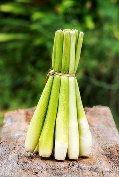 Sheaf of Zizania latifolia. Turcz plant on wood with nature background