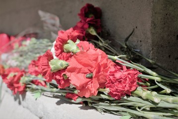 Fototapeta na wymiar St. Petersburg, Russia, May 2019. A bouquet of red carnations on the monument to the heroes of the war.