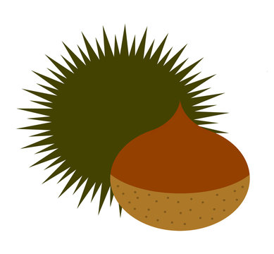 brown chestnut with green spiky husk clip art preview