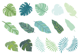 Illustration set of tropical leaves.