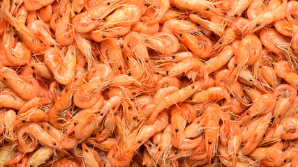 Tasty fresh shrimps as background.