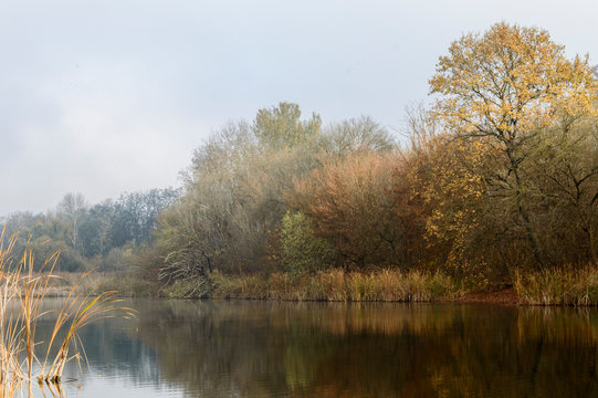 Beautiful landscape photo of Holt-Tisza river and riverside in Hungary. Autumn forest morning fog. Best place for fishing.