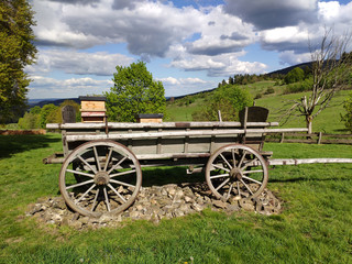 Fototapeta na wymiar Historical horse cart on a lawn in Spring mountains in Germany
