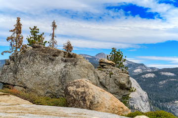 Fototapeta premium Magnificent national American natural park - Yosemite.