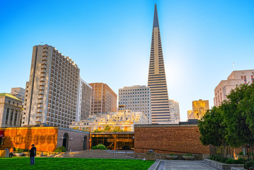 View of the city center,tower skyscraper TransAmerica, downtown of San Francisco.
