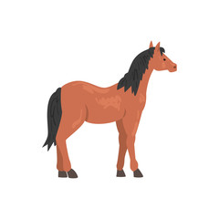 Brown Thoroughbred Horse Animal, Side View Vector Illustration