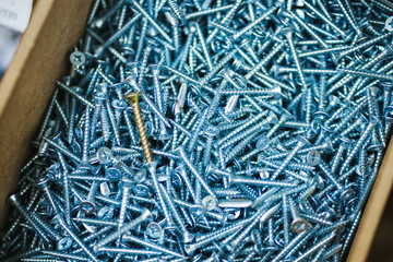 Many silver small screws for repair and fasteners in a box close-up.
