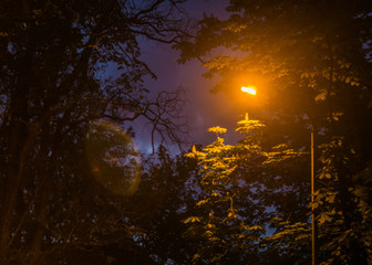 Lantern in the evening forest