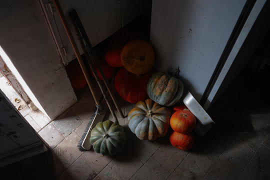 Citrouille de grand-m&egrave;re.