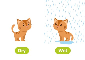 The kitten stands in the rain and without rain. Illustration of opposites dry and wet. Card for teaching aid, for a foreign language learning. Vector illustration on white background, cartoon style.