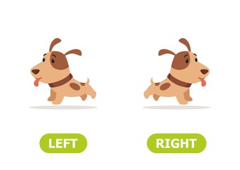 Illustration of opposites  left and right. The dog runs left and right..Card for teaching aid, for a foreign language learning. Vector illustration on white background..