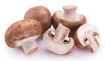Fresh mushrooms on white background