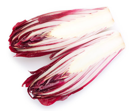 Red chicory on white background