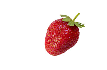 Ripe strawberry berry isolated on white background.