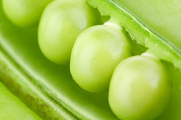 Pea Pod Mangetout