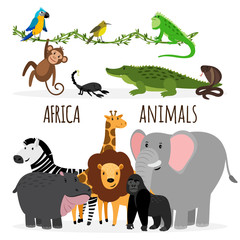 Cartoon exotic Africa animals groups vector isolated on white background