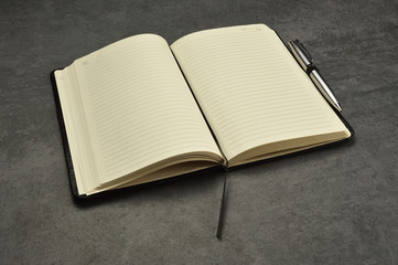 Open empty diary, note pad, ring binder with pen