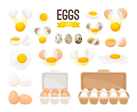 Fresh and boiled eggs. Cartoon broken eggs with cracked eggshell, in cardboard box and egg half with yolk vector illustration