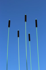 artificial reed in the sky