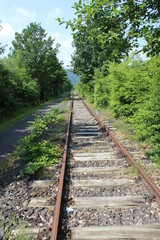 forgotten railway tracks