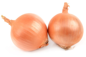 Fototapeta premium Onions on a white background