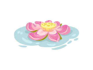 Large pink waterlily flower. Vector illustration on white background.