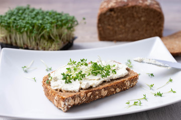 Vollkornbrot mit Kräuterfrischkäse