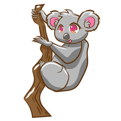 koala vector cartoon clipart design