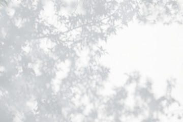 Shadows from trees on a plastered wall