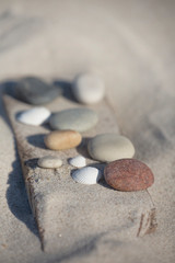 Fototapeta na wymiar Beach Findings Pebble Collection On Driftwood
