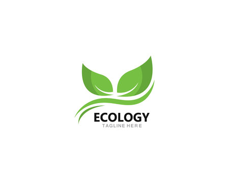 Eco Tree Leaf Logo template