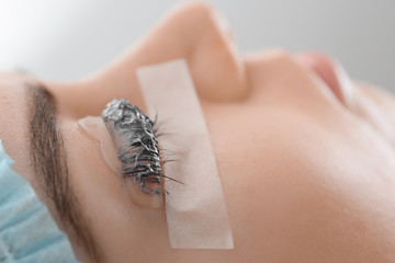 Young woman undergoing procedure of eyelashes dyeing and lamination in beauty salon, closeup