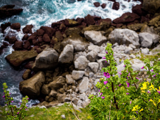 cliff of rocks with green grass and flowers in spring