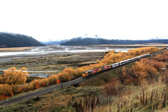 train going on the way on authum in newzealand with mountain background