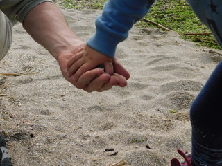  parent and child on the beach. hands macro