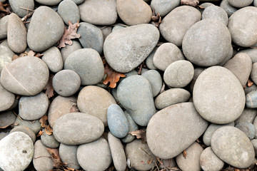 Background from large pebbles. Beauty in nature.