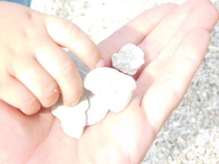  parent and child on the beach. hands macro