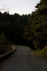Helicopter flying in the sky pouring water on fires